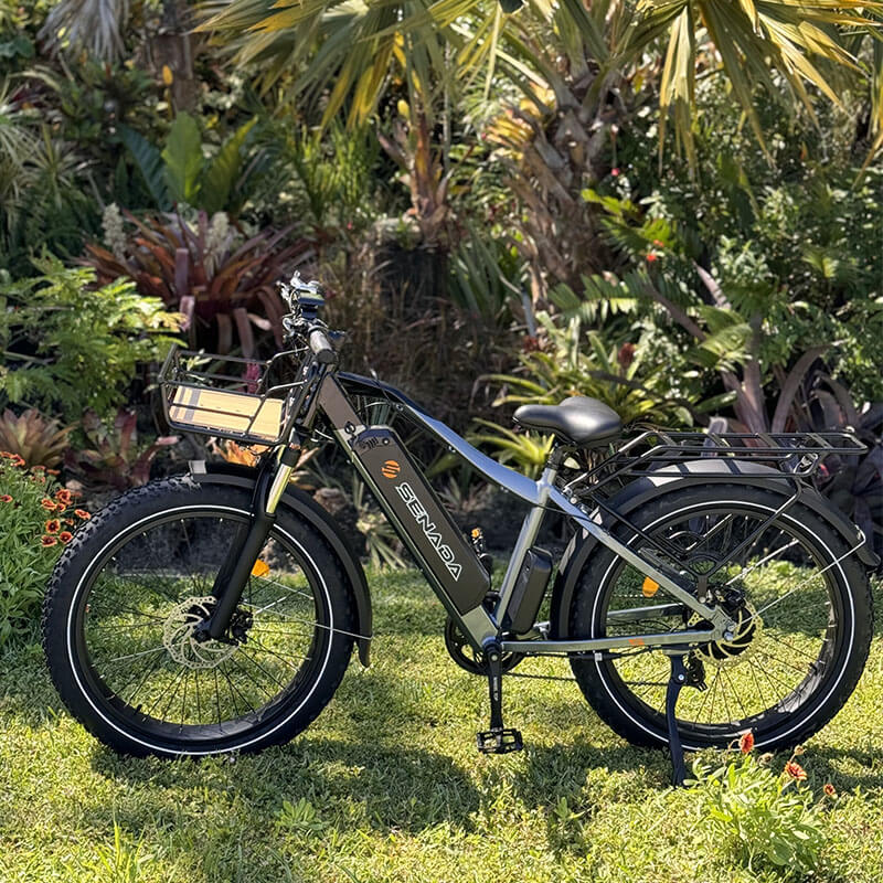 SABER PRO E-BIKE (Charcoal Gray)